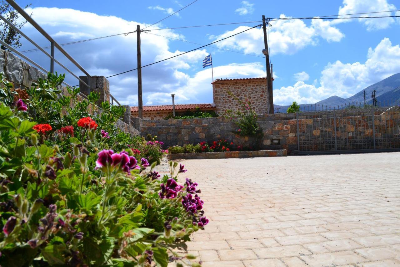 Asteri Apartments Malia  Exterior photo